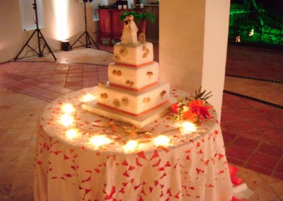 Gina Castillo-Alvarez Designs for Team Bride-Cartagena Wedding -Boda en Cartagena,580106_343780609023697_1224761420_n